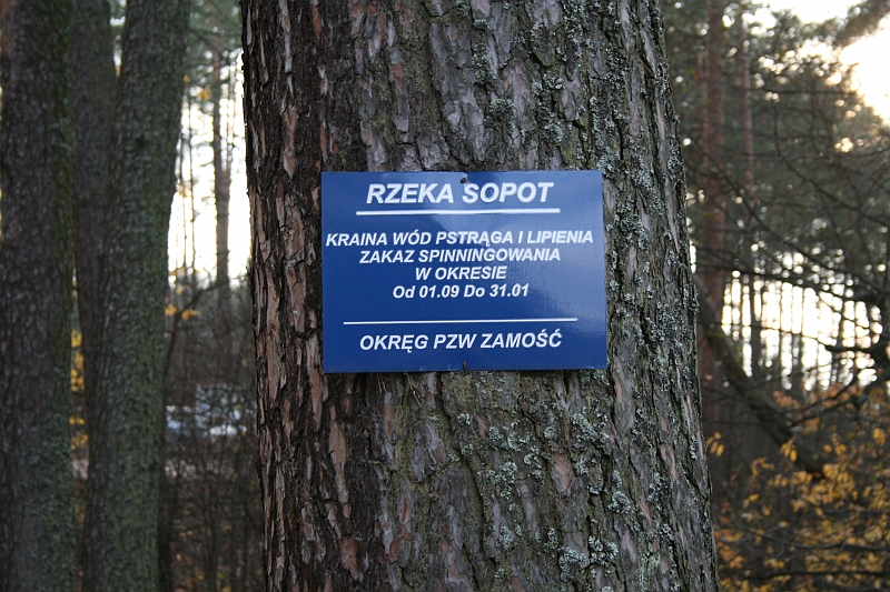 Rostoczek 11.2008 149